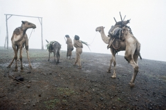 Ethiopia-382-Bati-c